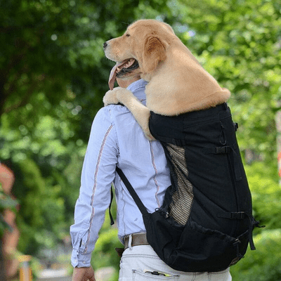 Sac à Dos pour Chien - PetBackpack™ - Noir - Joyeux chien