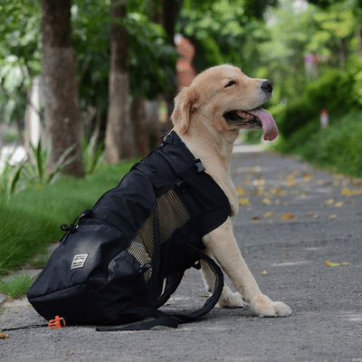 Sac à Dos pour Chien - PetBackpack™ - Noir - Joyeux chien