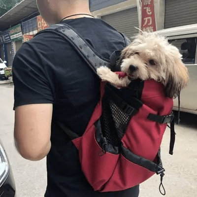 Sac à Dos pour Chien - PetBackpack™ - Rouge - Joyeux chien