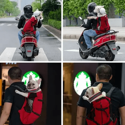 Sac à Dos pour Chien - PetBackpack™ - Rouge - Joyeux chien