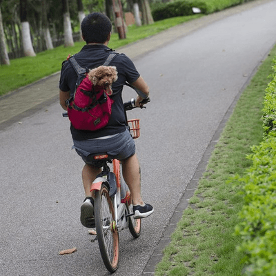 Sac à Dos pour Chien - PetBackpack™ - Rouge - Joyeux chien