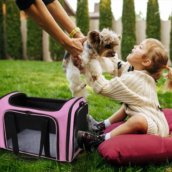 sac de transport pour chien | Dogvia™ - Joyeux chien