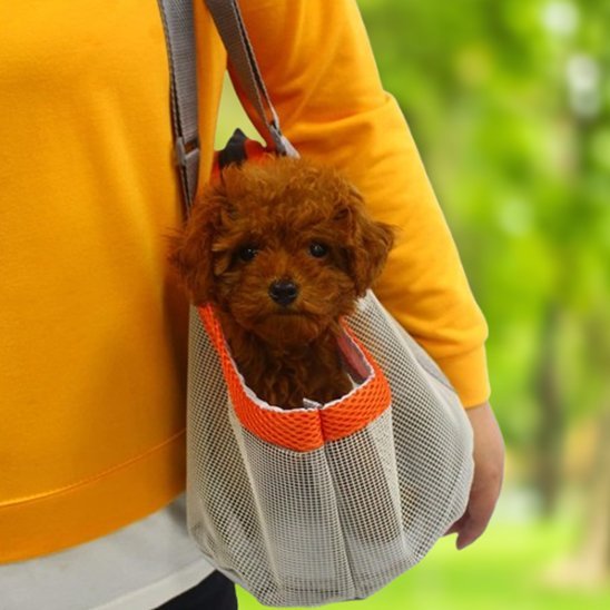 Sac de transport pour chien | HugPack™ - Joyeux chien