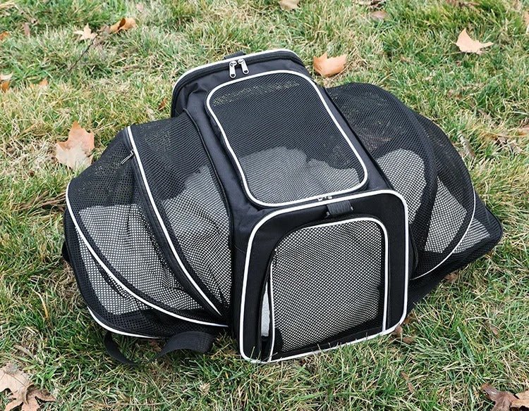 Sac de transport pour Chien | PawRando™ : Confort Premium - Joyeux chien