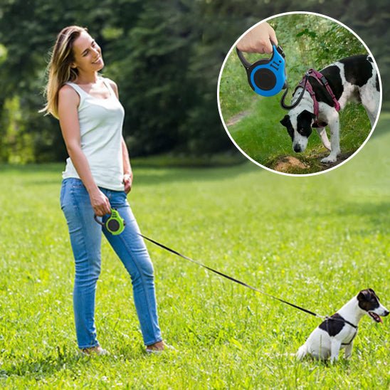 serenite avec laisse pour chien