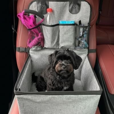 Siege auto pour chien PawComfort™ avec poches de rangement - Joyeux chien