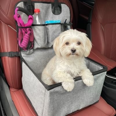 Siege auto pour chien PawComfort™ avec poches de rangement - Joyeux chien