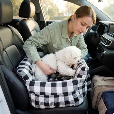siege auto pour chien sur banquette avant