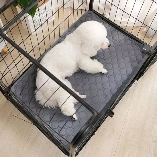 Tapis absorbant chien EcoPaws™ - Joyeux chien