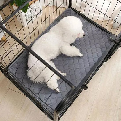 Tapis absorbant chien EcoPaws™ - Joyeux chien
