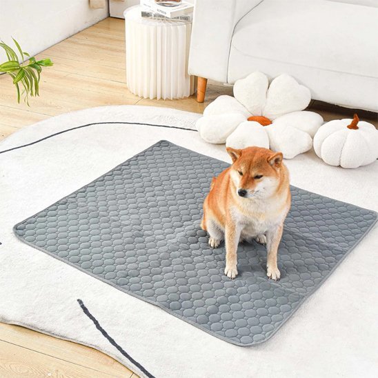 Tapis absorbant chien EcoPaws™ - Joyeux chien