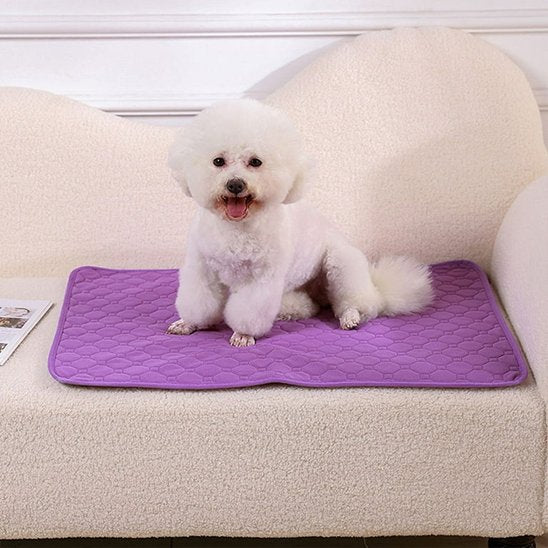 Tapis absorbant chien EcoPaws™ - Joyeux chien