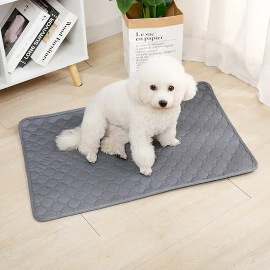Tapis absorbant chien EcoPaws™ - Joyeux chien