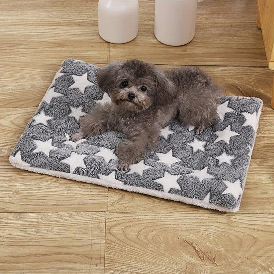 Tapis pour chien | EcoPaws™ : Ultra - doux et lavable - Joyeux chien