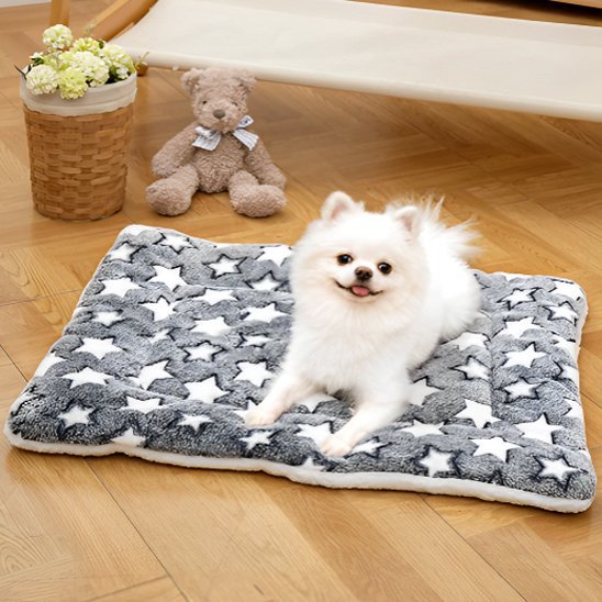 Tapis pour chien | EcoPaws™ : Ultra - doux et lavable - Joyeux chien