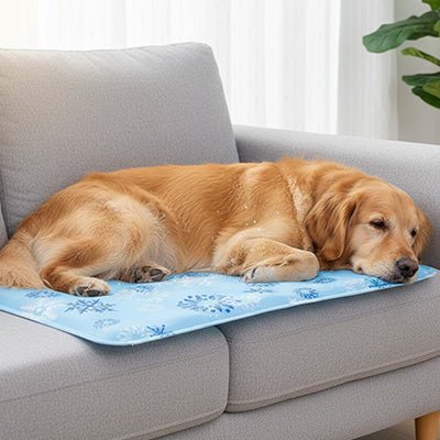 Tapis rafraîchissant Chien | PolarDog™ - Joyeux chien