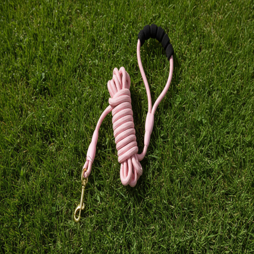 Longe Dogline variant rose